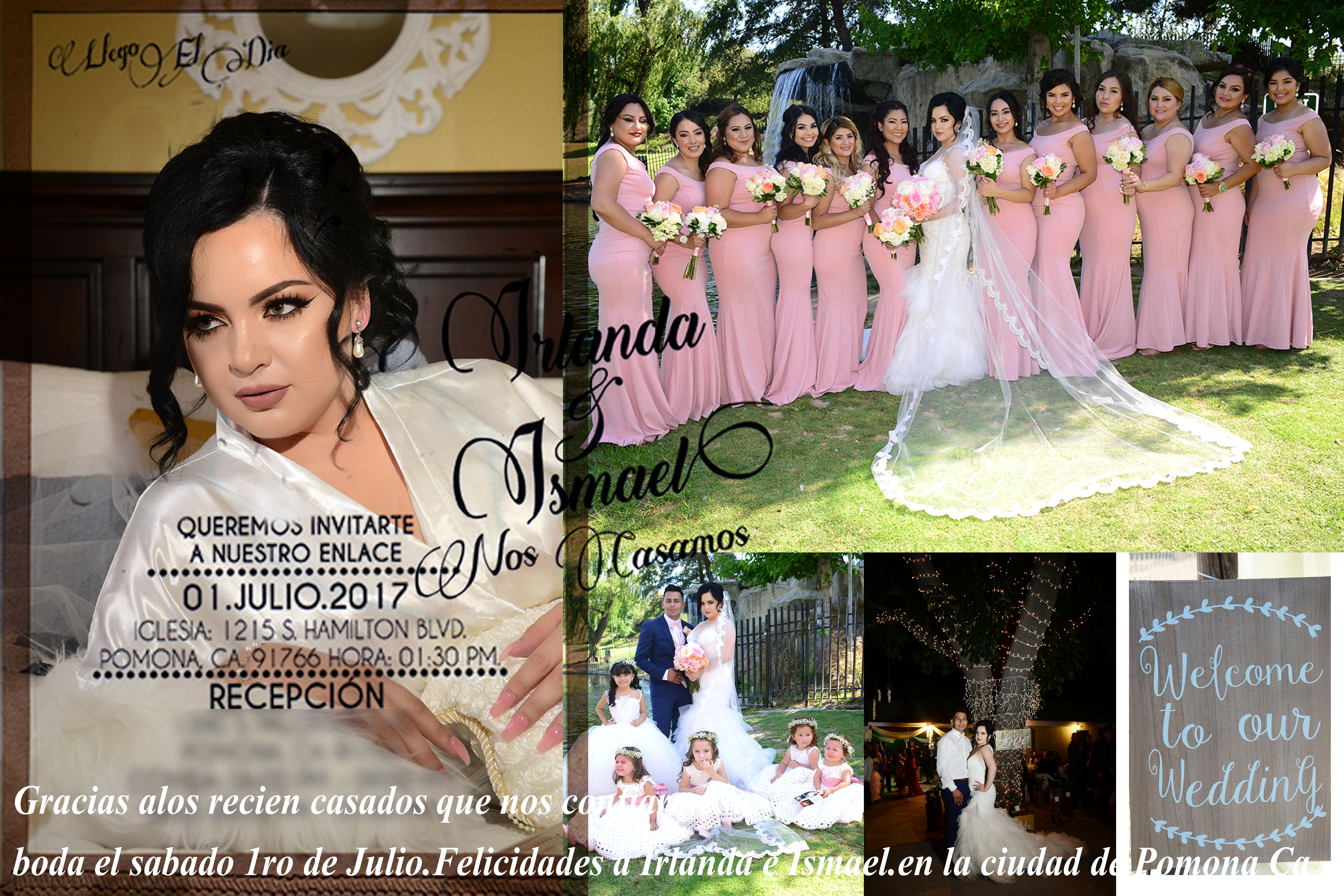 photo background